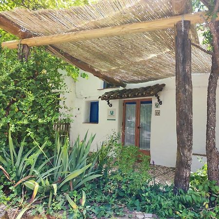 Vila Casita Esperanza Alájar Exteriér fotografie